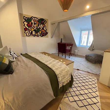 L'envol - Centre - Proche Parking Gratuit - Commerces à Proximité Apartamento Sélestat