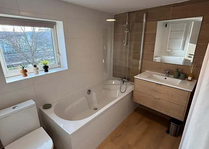 L'envol - Centre - Proche Parking Gratuit - Commerces à Proximité Sélestat