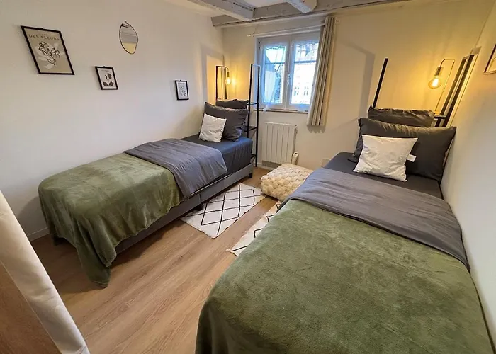 L'envol - Centre - Proche Parking Gratuit - Commerces à Proximité Sélestat