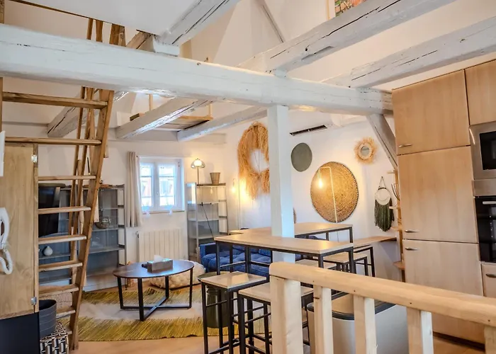 Apartmán L'envol - Centre - Proche Parking Gratuit - Commerces A Proximite Sélestat