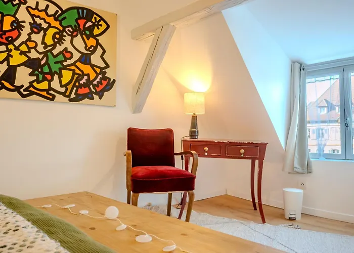 L'envol - Centre - Proche Parking Gratuit - Commerces A Proximite Apartmán Sélestat