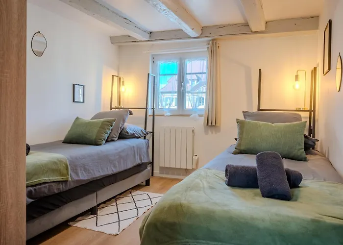 Apartmán L'envol - Centre - Proche Parking Gratuit - Commerces A Proximite Sélestat