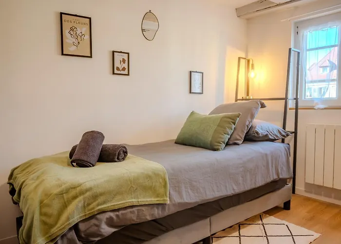 L'envol - Centre - Proche Parking Gratuit - Commerces A Proximite Apartmán Sélestat